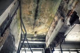 Best Mold Removal for HVAC Installations  in Anoka, MN